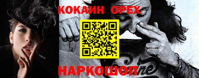 соль ск Сланцы